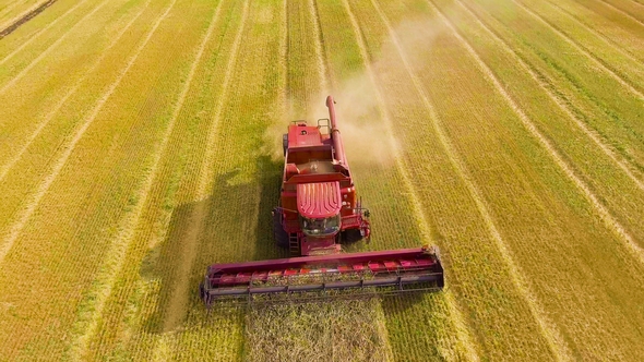 Aerial of Red Combine Harvester Working on Large Wheat Field alt