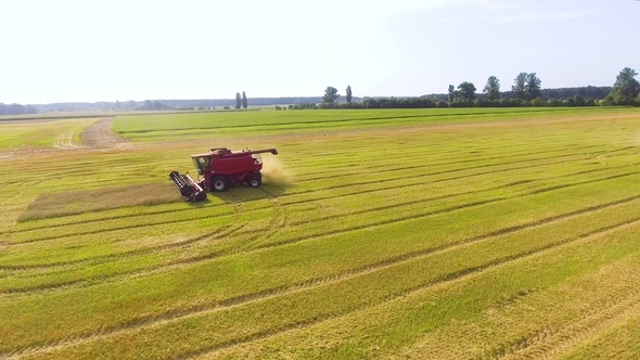 Aerial of Red Combine Harvester Working on Large Wheat Field, Stock Footage