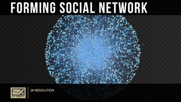 Formation Social Network
