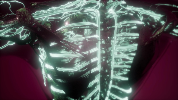 Human Body with Glow Blood Vessels, Motion Graphics | VideoHive