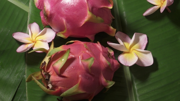 Two Fresh Raw Exotic Tropical Thai Dragon Fruit Also Called Pitayas Rotating on Banana Leaf alt