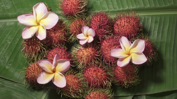 Group of Fresh Exotic Tropical Thai Fruit Rambutans (Nephelium Lappaceum) Rotating on Banana Leaf alt