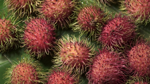 Group of Fresh Exotic Tropical Thai Fruit Rambutans (Nephelium Lappaceum) Rotating on Banana Leaf alt