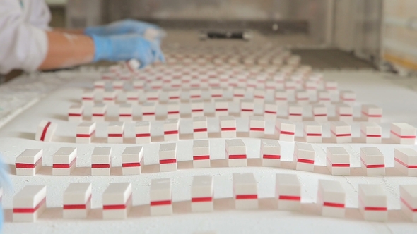 Paste Sweets Production at the Factory