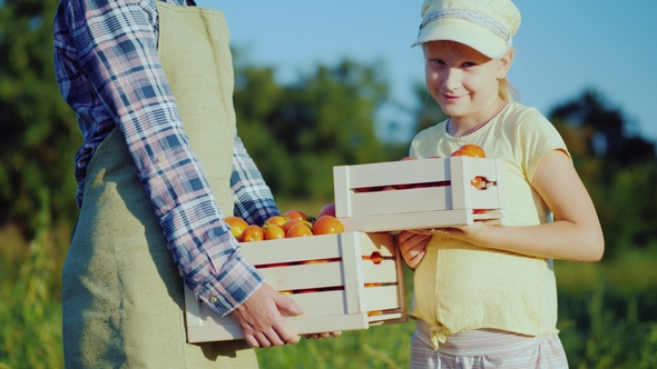 Woman Farmer With Daughter Holding A Box Of