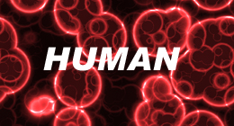 Human