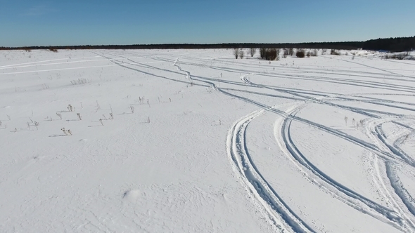 Winter Field on a Clear Day