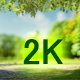 Nature Background For Product Display - VideoHive Item for Sale