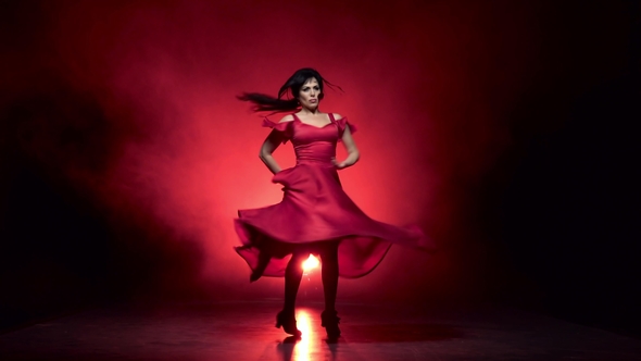 Dance of Flamenco Is Sexually Dancing Girl. White Background. Silhouette alt