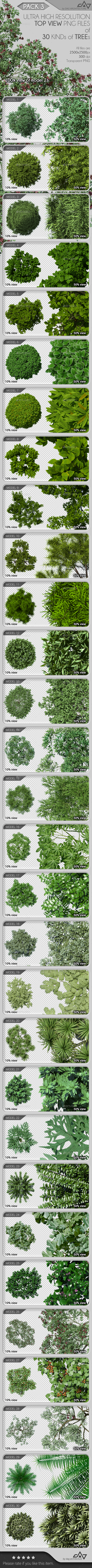 Top View Trees Pack 3 - Objects Illustrations