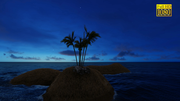 Palm Island Sunrise