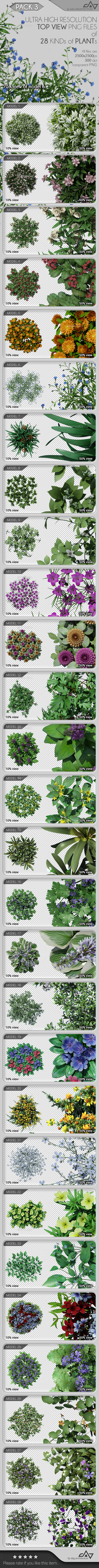 Top View Plants Pack 3 - Objects Illustrations