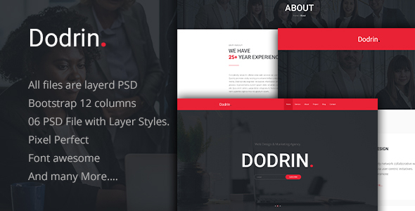 Dodrin - Consulting - ThemeForest 22409748