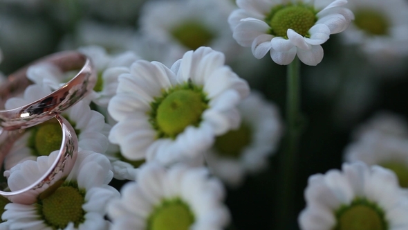 Wedding Rings   Gold Diamon Jewellery