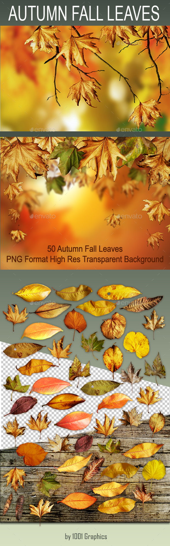 50 Autumn Fall Leaves - PNG - Nature Backgrounds