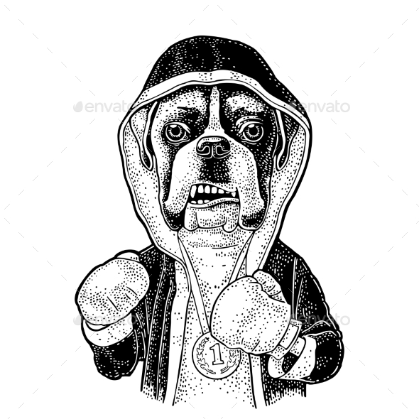 Dog Boxer Dressed in Human Robe and Gloves - Animals Characters
