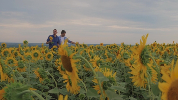 Two Friend Farmer Rancher ,Funny Around Situation on the Sunflower Field. Partner Farmers Men alt