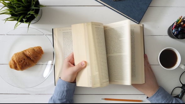 Man Flipping Through Pages of a Book, Stock Footage | VideoHive