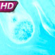 Birth of the Blue Star - VideoHive Item for Sale
