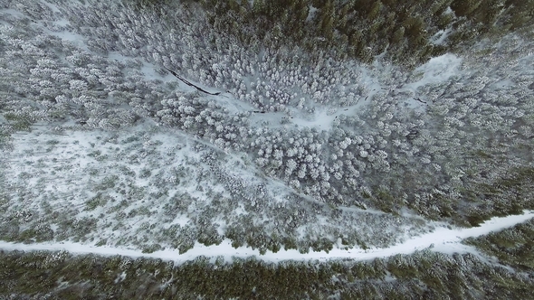 Flight Above Winter Forest on the North alt