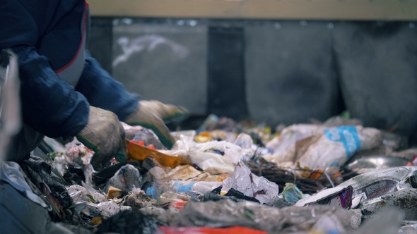 Factory Worker Sorts Garbage on a Line A Worker Sorts Paper on a Moving Line Full of Trash alt