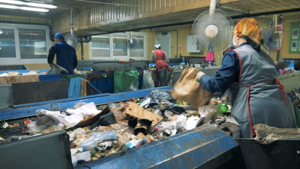 Garbage Moves on Conveyors, While Workers Sorting It at a Recycling Plant alt