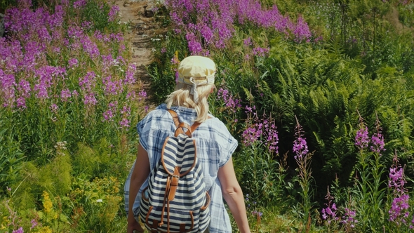 A Woman with a Backpack Walks Along a Picturesque Path Among the Flowers of Willow-tea alt