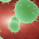 Bacteria Spread Inside The Body - VideoHive Item for Sale