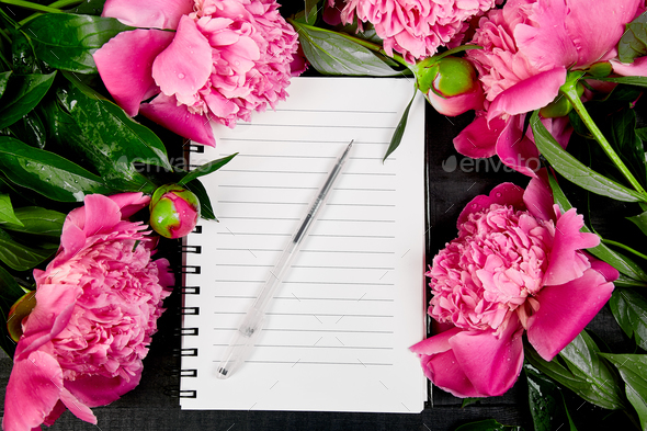 Beautiful pink peony flowers on black background with note - Stock Photo - Images