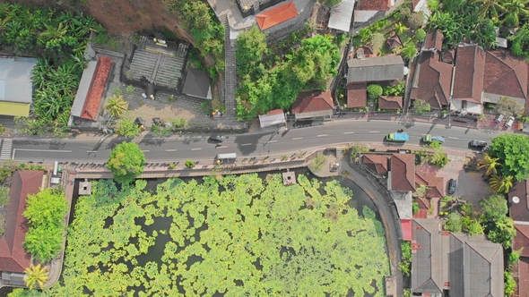 Lake and Field of Lotus on a Tropical Island Bali
