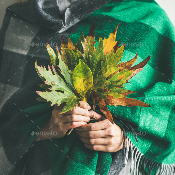 Woman in scarf or blanket with Autumn leaves, square crop - Stock Photo - Images