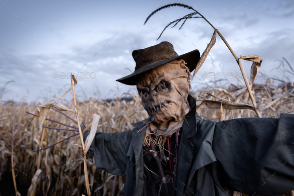 evil scarecrow hat