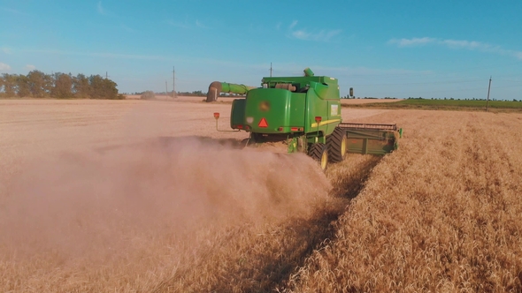 Aerial View of a Combine Harvester Working in a Field at Sunset