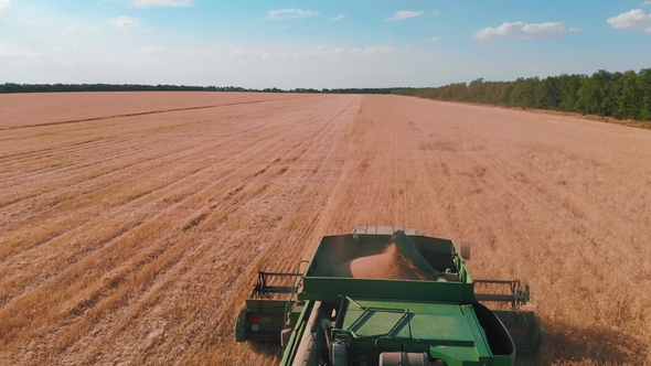 Combine Harvester Working in a Field at sunset