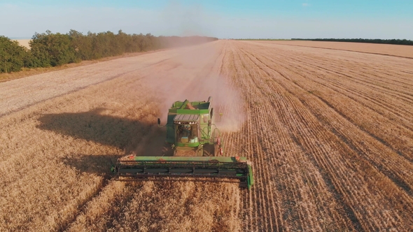 Aerial Drone Shot of a Combine Harvester Working in a Field at sunset.Harvesting