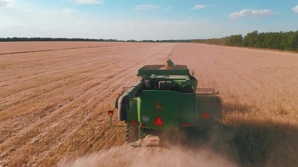 Aerial View of a Combine Harvester Working in a Field at Sunset