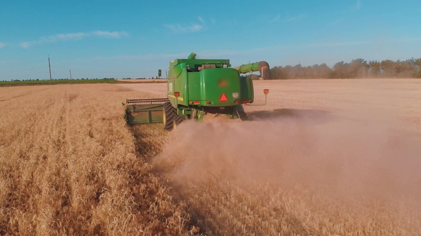 Aerial View of a Combine Harvester Working in a Field at Sunset