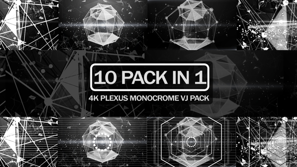 4K Plexus Monocrome Vj Pack alt