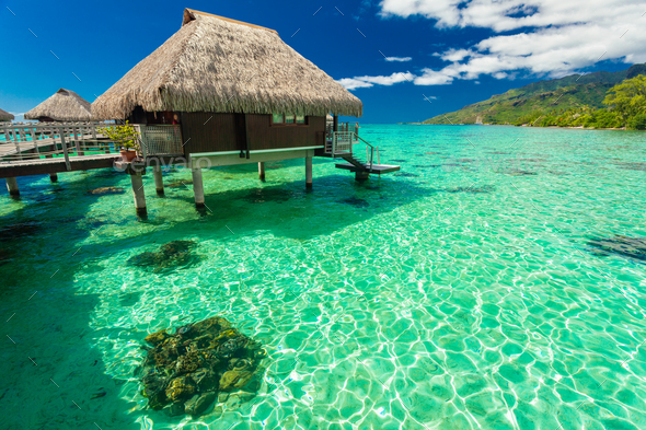 Over water bungalows and green lagoon, Moorea, French Polynesia Stock ...