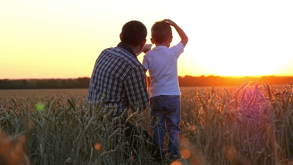 Happy Father and Child in a Wheat Field Watching the Sunset, Pointing Into the Distance alt