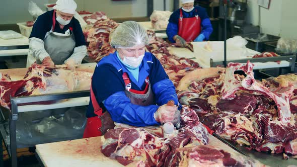Women Cut Pork at Meat Packing Plant. alt