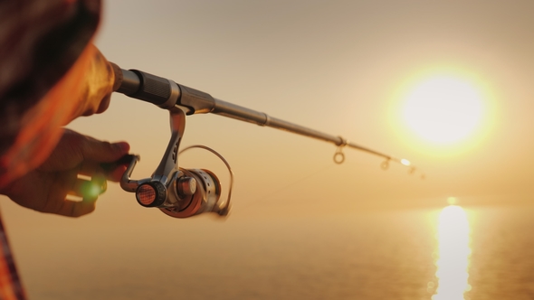 The Fisherman's Hands, Holds the Spinning Rod, Rotates the Coil Handle. Hobby and Activity alt