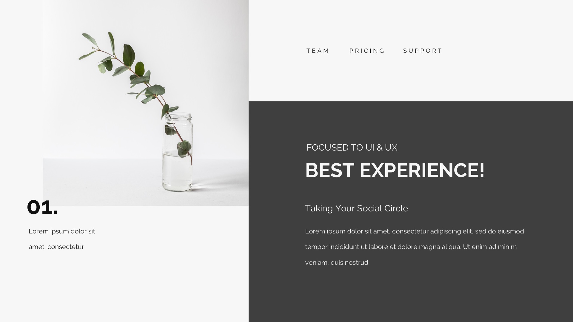 Benign Creative Powerpoint Template, Presentation Templates | GraphicRiver