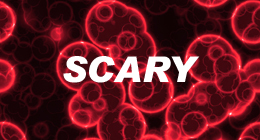 Scary