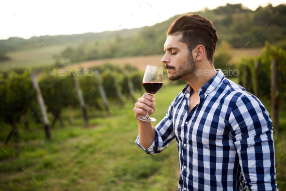 Wine growers tasting wine in vineyard