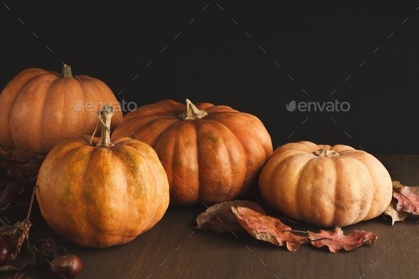 Beautiful pumpkins with leaves and chestnuts on black background - Stock Photo - Images