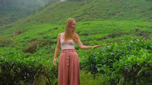 Shot of a Young Woman Visiting a Highlands Tea Plantations. Fresh, Tea Concept alt
