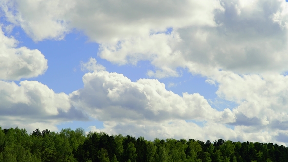 Clouds Are Moving Over Green Trees with a Blue Sky. Landscape