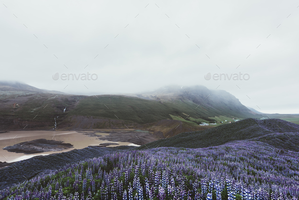 Typical Iceland landscape Stock Photo by ivankmit | PhotoDune
