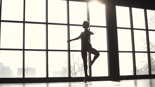 Silhouette Graceful Ballerina on the Background of a Large Ballet in Shoes nskfoto